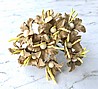 חמישיית ליליות קטנות- חום מוקה
